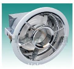 Induction Downlight