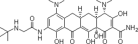 Tigecycline