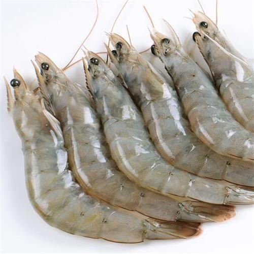 Skinless Fresh Vannamei Shrimp, for Household, Mess, Restaurant, Feature : Protein