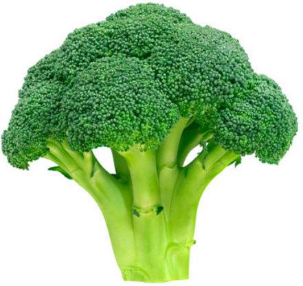 Fresh broccoli, Packaging Type : Jute Bag