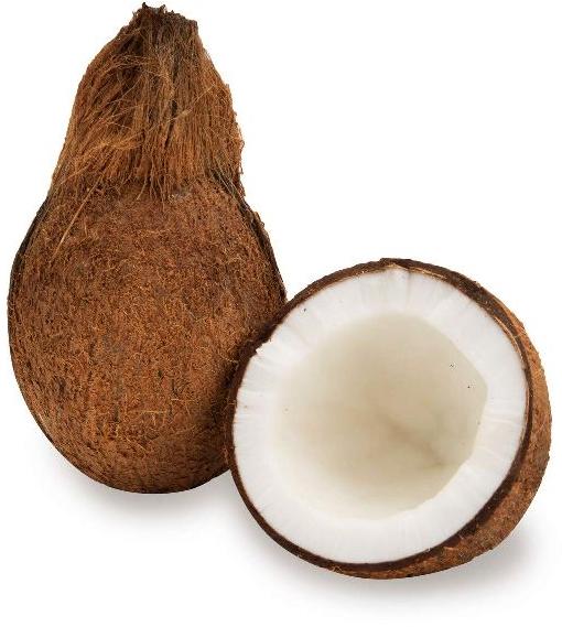 Natural Fresh Coconut, for Freshness, Good Taste, Packaging Type : Gunny Bags