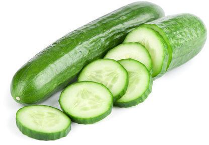 Fresh cucumber, Shelf Life : 10 Days