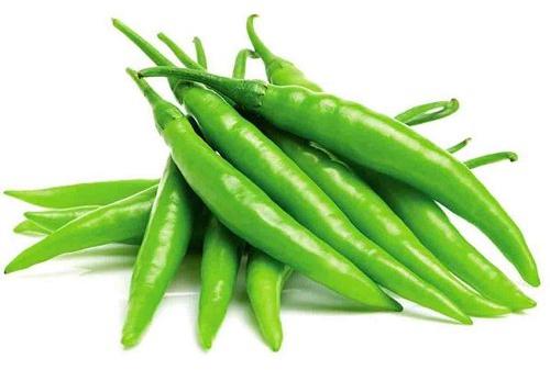 Natural Fresh Green Chilli, for Human Consumption, Packaging Type : Jute Bag