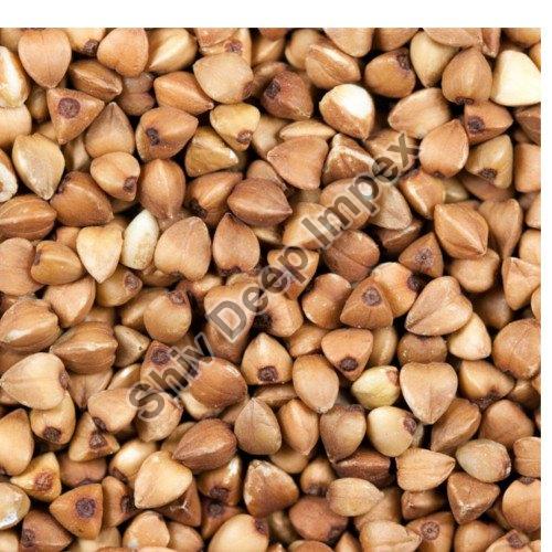 Organic Buckwheat Seeds, Certification : FSSAI