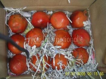 Jyoti international Common Red Delicious Pomegranate, Variety : Bhagwa