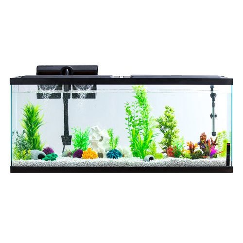 Fish Aquarium Tank