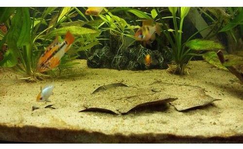 Natural Aquarium Sand, Packaging Type : Bag