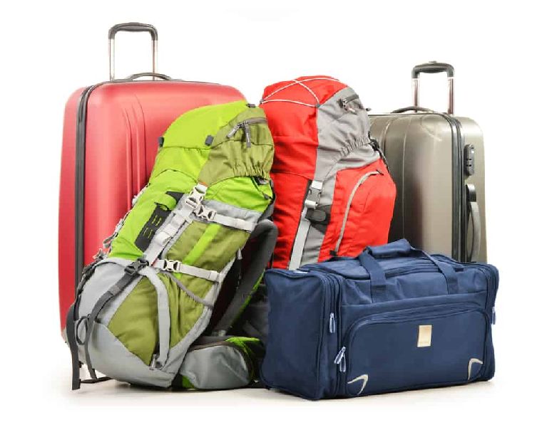 Discover more than 157 travel bag with wheels latest - xkldase.edu.vn