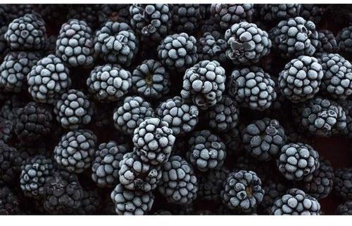 Natural Frozen Blackberry, Purity : 98%