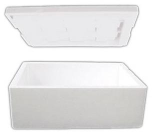 Thermocol Fish Box