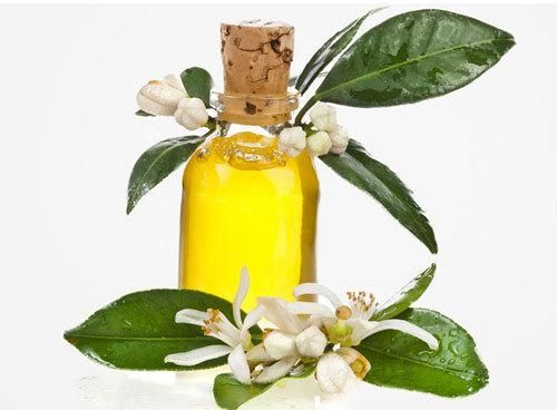 Amyris Essential Oil