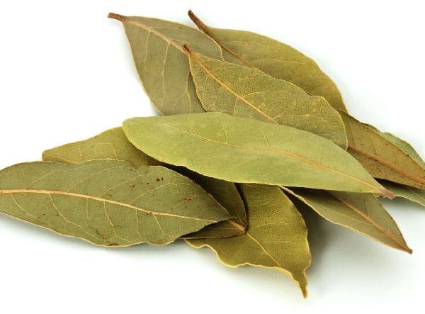 Dry Bay Leaf