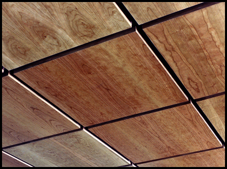 CEILING PANELS, for homes, office buildings, restaurants, airports, railway stations, industrial buildings