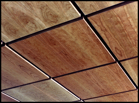 ceiling panels