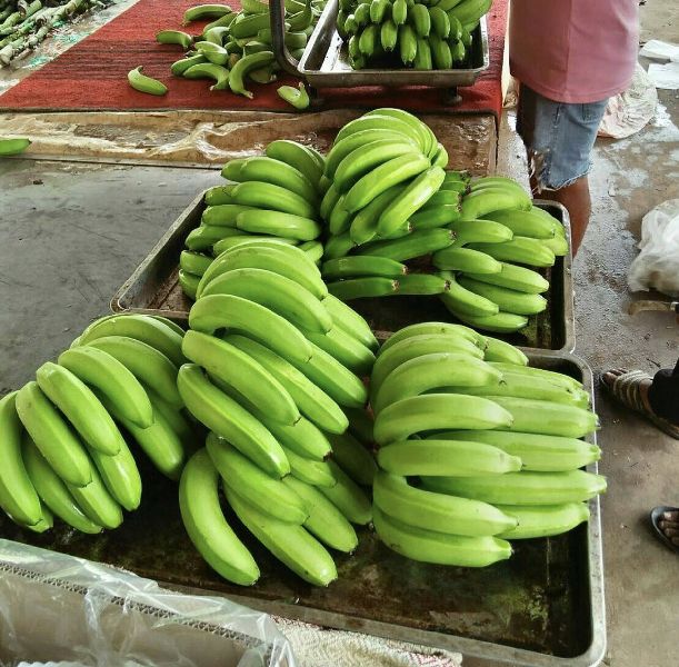 Natural Fresh Cavendish Banana, for Human Consumption, Packaging Type : Jute Bag