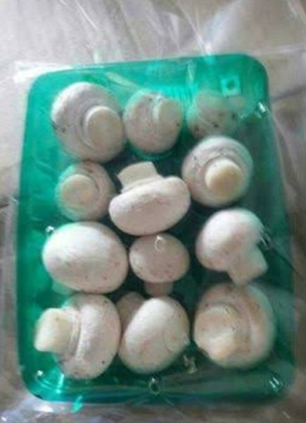 Organic Farm Fresh Button MUSHROOM, for Cooking, Packaging Type : Plastic Container
