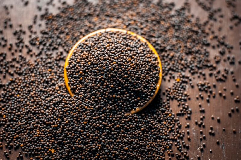 Solid Mustard Seeds, for Food Medicine, Spices, Cooking, Packaging Type : Plastic Bag