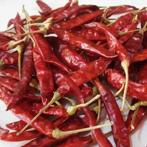 Raw Organic dried red chilli, Packaging Type : Plastic Packet