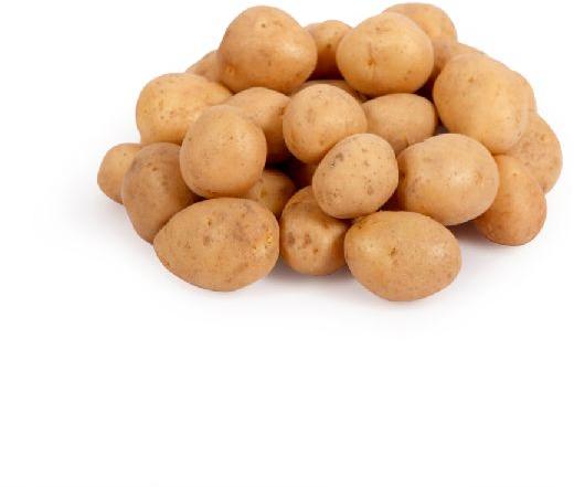 Natural Fresh Baby Potatoes, for Cooking, Snacks, Feature : Early Maturing, Floury Texture