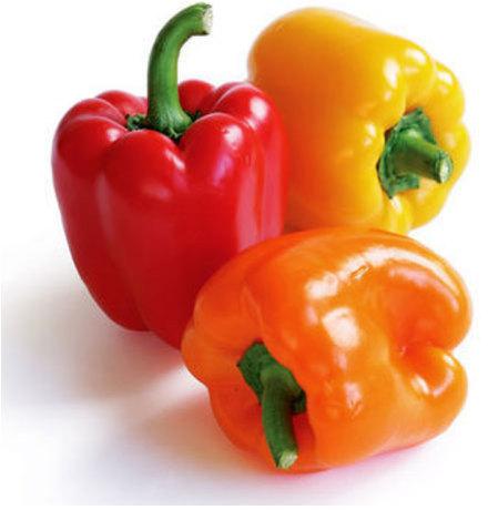 Fresh Bell pepper