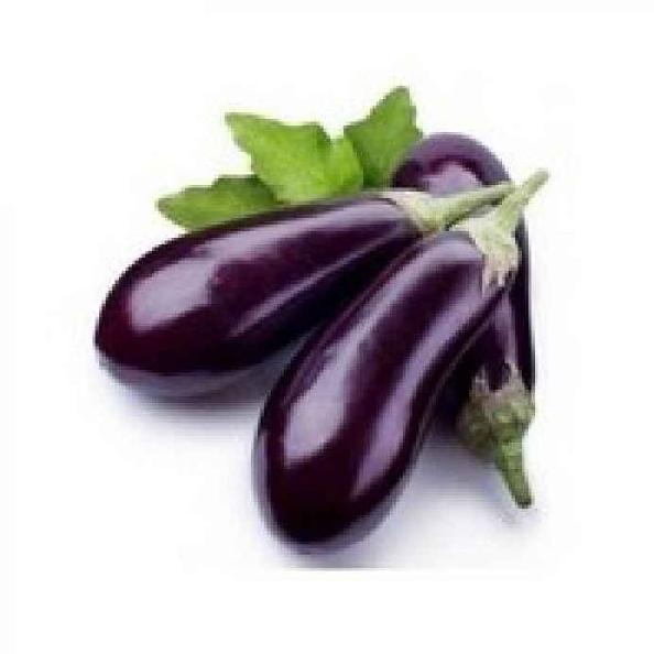 Natural Fresh Eggplant