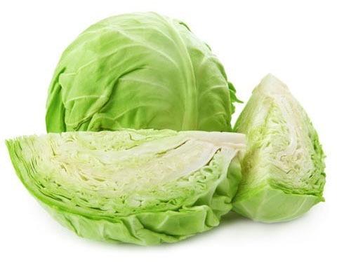 Natural Fresh Green Cabbage