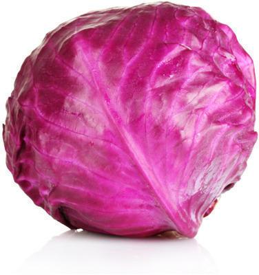 Natural Fresh Purple Cabbage