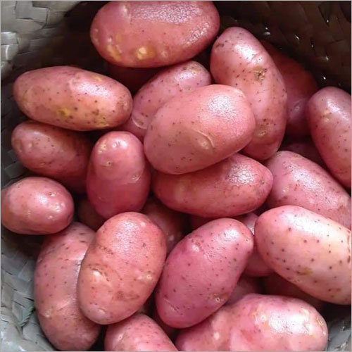 Natural Fresh Red Potato, Packaging Size : 40-50kg