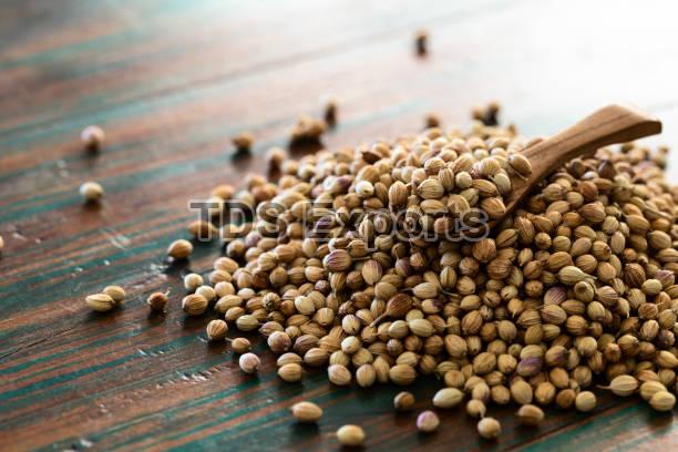 Organic coriander seeds, for Cooking, Spices, Specialities : Pure, Non Harmful, Long Shelf Life