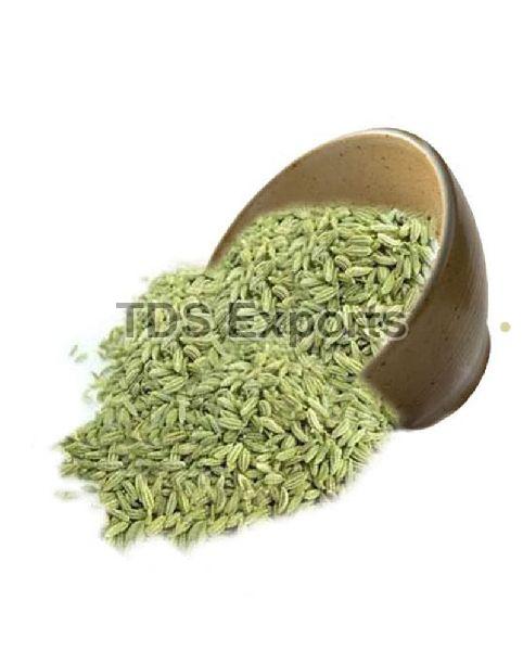 Organic Fennel Seeds, for Cooking, Spices, Food Medicine, Certification : FSSAI Certified