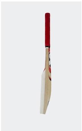 Cricket SG Catch Bat