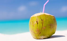 Hard Organic Fresh Green Coconut, for Freshness, Good Taste, Healthy, Packaging Type : Jute Bags