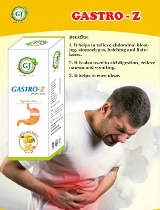 Gastro-Z syrup