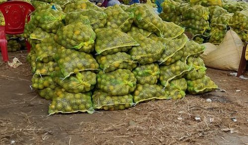 Plastic Yellow Leno Bags, for Used Packaging