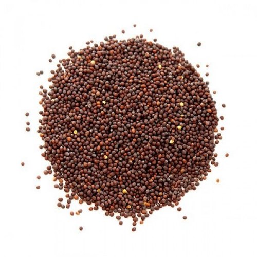 Raw Organic Brown Mustard Seeds, for Cooking, Certification : FSSAI Certified