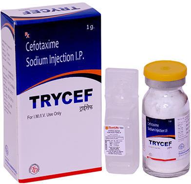 Trycef Cefotaxime Sodium Injection