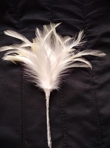 White Bird Feather