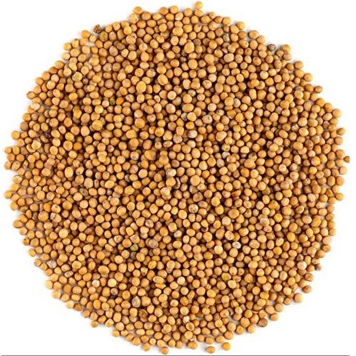 mustard seeds