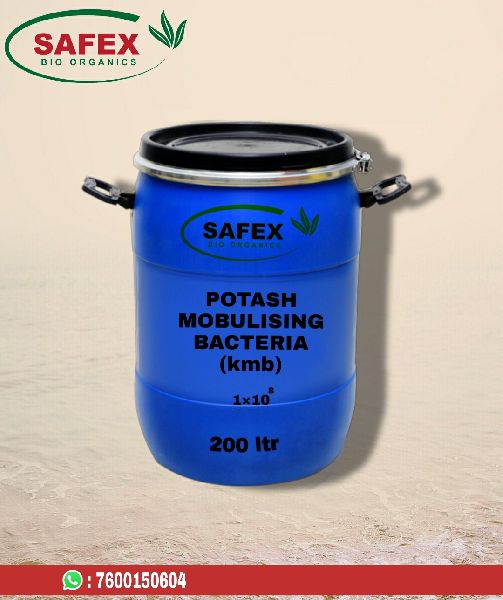 POTASH MOBULISING BACTERIA (K M B)