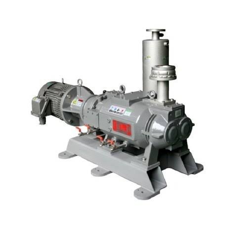 Dry Screw Vacuum Pump