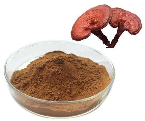 Ganoderma Extract