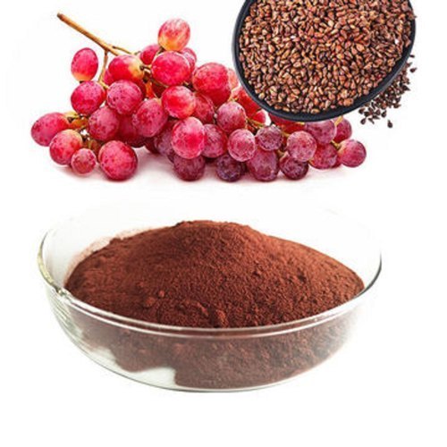 Grape Seed Extract, Packaging Type : drum