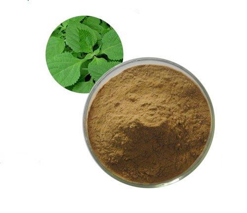 Papaya Leaf Extract