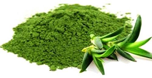 Aloe Vera Herbal Extracts