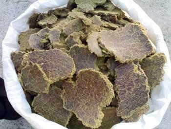 Loose Cotton Seed Oil Cake For Cattle Feed