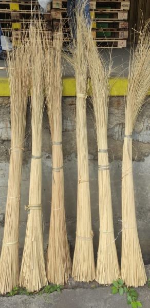 Nipah Broom stick