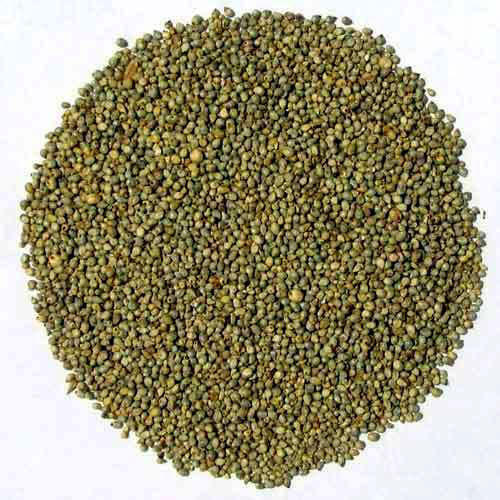 Organic Pearl Millet Seeds, Feature : Natural Taste