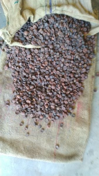 Organic Betel Nut Assam C K supari, Packaging Type : Bag