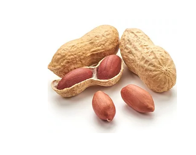 Peanut bold, for Cooking, Feature : Natural Taste