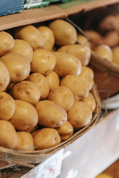 Fresh potato, Feature : Good For Health, Good In Taste